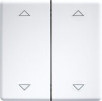 Eltako Doppelwippe lasergraviert für 55x55mm reinweiß DW-FT55-rw+2P