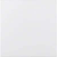 Berker Blindverschluss polarws 75940259