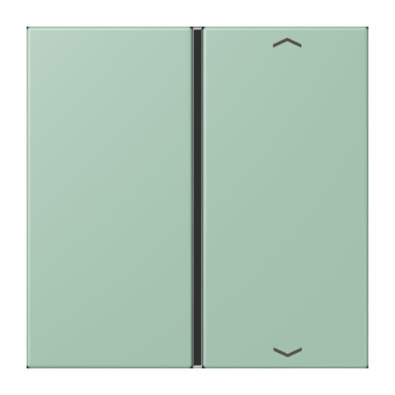 Jung Jung LC401TSAP217 Taste 1-fach Pfeil LC32041