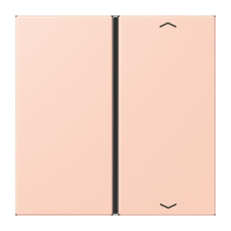 Jung Jung LC401TSAP234 Taste 1-fach Pfeil LC32112