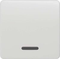 Siemens 5TG7800 DELTA profil titanweiß Wippe für Kontroll/Aus/Wechsel