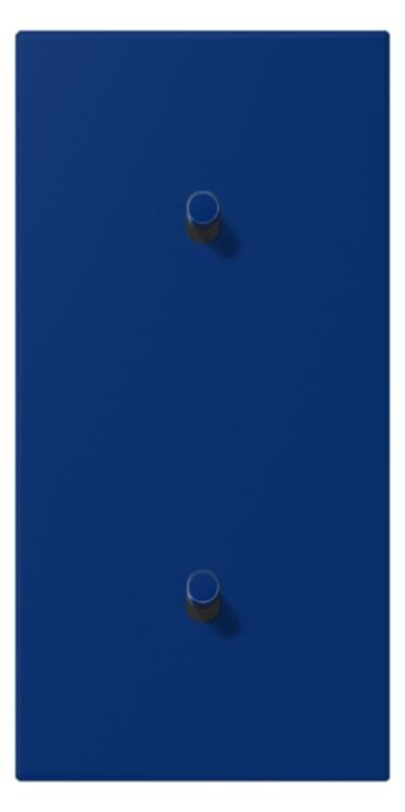 Jung Jung LC12-20R0261 Abdeckung mit Kipphebel "Zylinder" 2x1 Kipphebel senkrecht LS 1912 ble