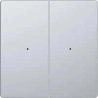 Merten Wippe für Tastermodul 2 fach  System Design MEG5220-6036