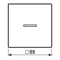 Jung KNX RF Taster 1-fach Thermoplast lackiert A 10911 ST RF BF WWM