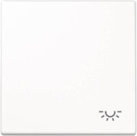 Jung LS990LLG Wippe Symbol Licht lichtgrau