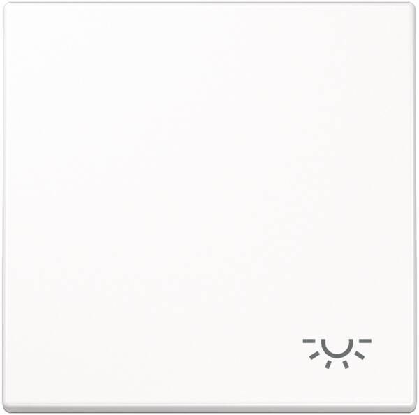 Jung Jung LS990LLG Wippe Symbol Licht lichtgrau