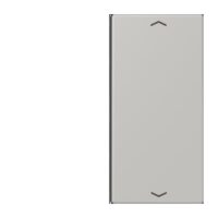 Jung LC402TSAP205 Taste 2-fach Pfeil LC32013