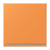 Jung LC1539-OOLNW225 LED-Orientierungslicht ohne Sensor LC320
