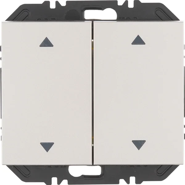Berker Modul Wippe 2-fach Auffdr K.5 edelst 24127204