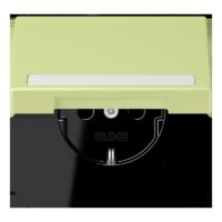 Jung LC1520BFNAKL222 SCHUKO-SteckdoseKI mit Klappdeckel mit S