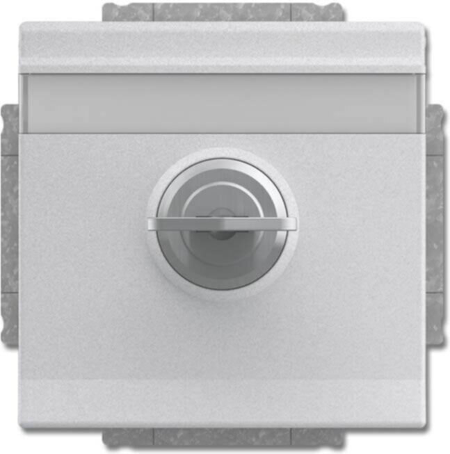 Busch-Jaeger Busch-Jaeger SCHUKO Steckdosen-Einsatz Aluminium-Silber 20 EUKNBSL-83-101