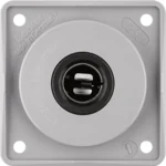 Berker Kfz-Steckdose grau 945172507