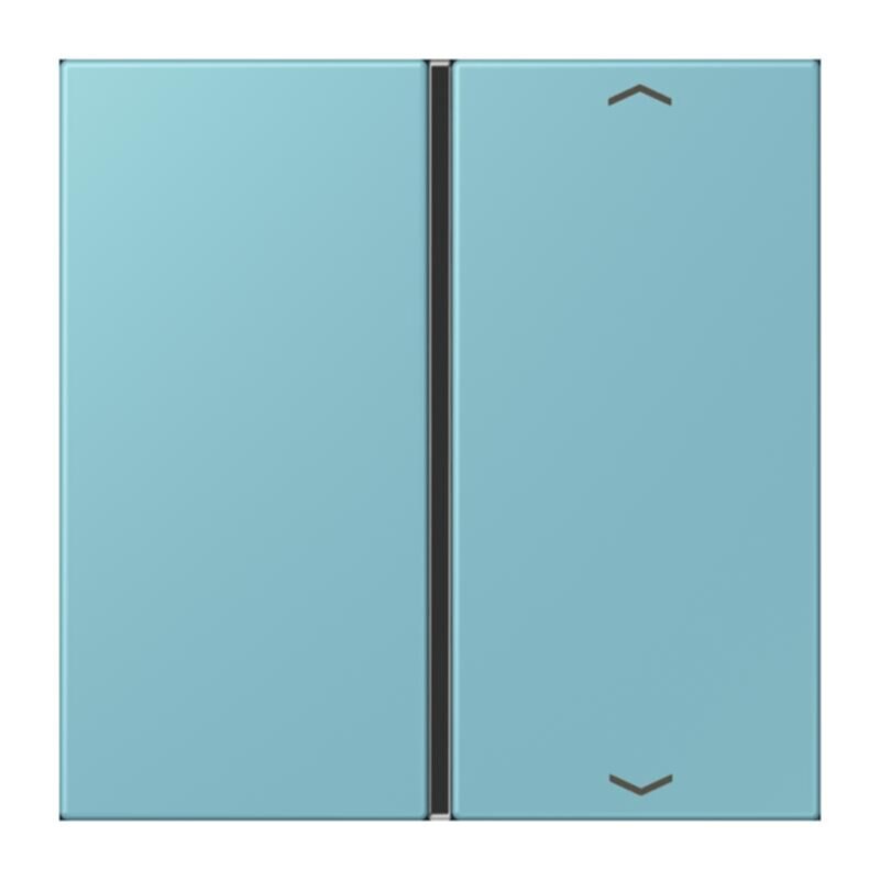 Jung Jung LC401TSAP213 Taste 1-fach Pfeil LC32032