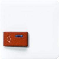 Jung Abdeckung aws für Fab.Ackermann CD 022 A-1 WW