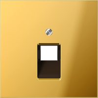 Jung Abdeckung go für IAE/UAE-Dose GO 2969-1 UA