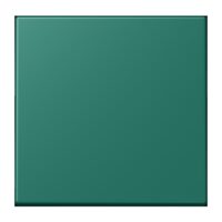 Jung LC1700216 Steuertaste Standard LC32040