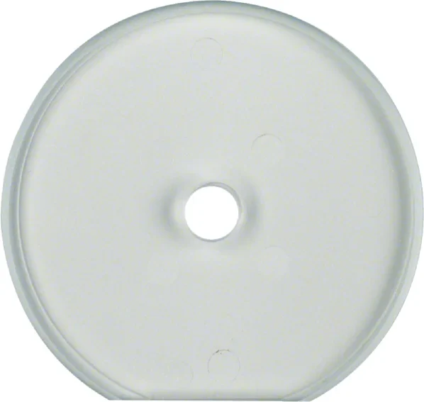 Berker Berker Glasplatte für Drehschalter/tast. 1094