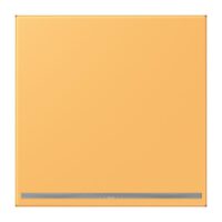 Jung LC1539-OOLNW254 LED-Orientierungslicht ohne Sensor LC432