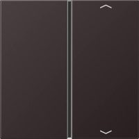 Jung Taste 1-fach Symbole Auf/Ab AL 2401 TSAP D
