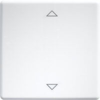 Eltako Wippe lasergraviert für 55x55mm reinweiß W-FT55-wg+2P