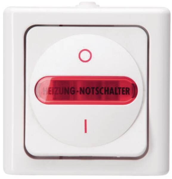 Kopp Kopp 562302000 Heizungshauptschalter AP-FR 2-polig beleuchtet10AX 250V Blue Elec arkt