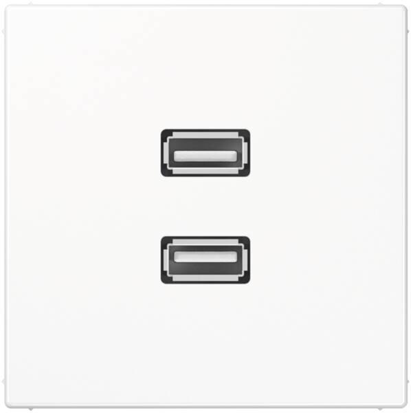 Jung Jung MALS1153WW Einsatz 2xUSB alpinweiß