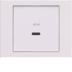 Berker 48607009 Z-ST für USB K.x polarweiß glänzend