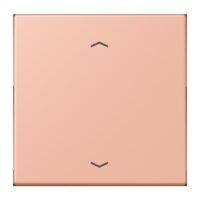 Jung LC1700P231 Steuertaste Standard -Pfeile LC32102