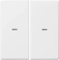 Berker Tast-Abdeckung 2-fach pws 80960329