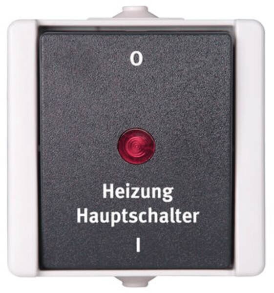 Kopp Kopp 541356004 Heizungshauptschalter AP-FR 10AX 250V Aquatop hg/dg