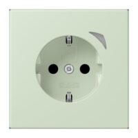 Jung BTLC1521S218 JUNG HOME SCHUKO Steckdose LC32042