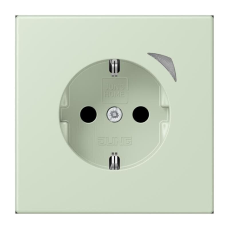 Jung Jung BTLC1521S218 JUNG HOME SCHUKO Steckdose LC32042