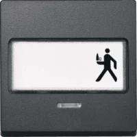 Merten Wippe Kontr.Fenster anth mit Schriftfeld 434614
