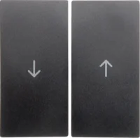 Berker Wippe anthrazit matt Symbol Pfeil 16251606