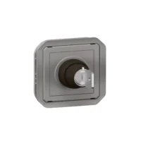 Legrand 069534L Plexo New Einsatz RONIS Schlüsselschalter 2 Pos Schraubkl.,