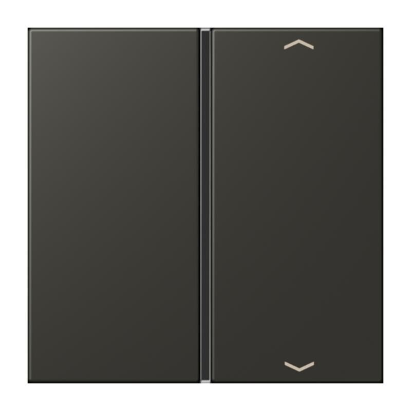 Jung Jung LC401TSAP259 Taste 1-fach Pfeil LC4320R