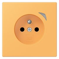 Jung BT LC 1521 F S 254 JUNG HOME Steckdose französisch/belgisches System