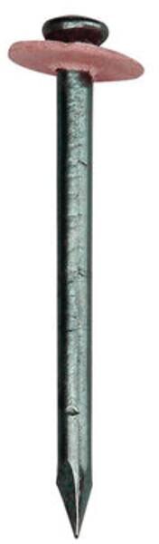 Kopp 342900082 Stegleitungsnägel 30mm