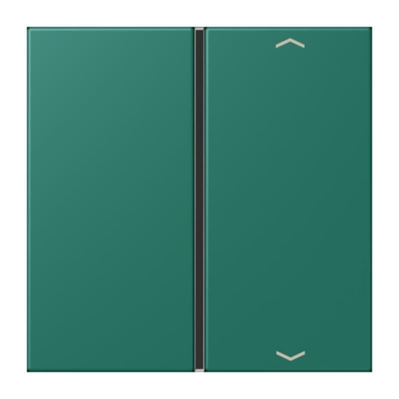 Jung Jung LC401TSAP216 Taste 1-fach Pfeil LC32040