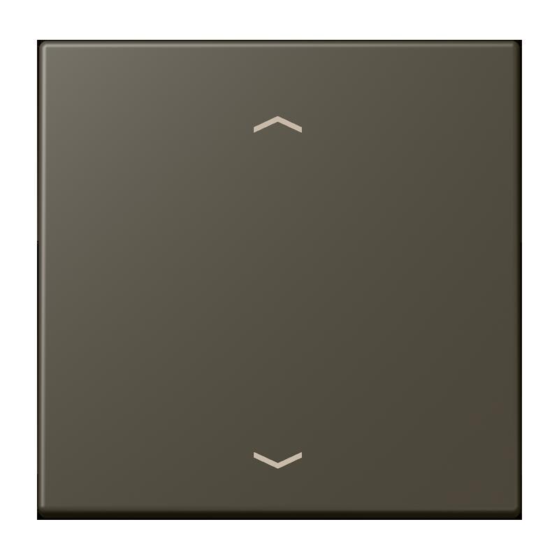 Jung Jung LC1700P241 Steuertaste Standard -Pfeile LC32140