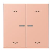 Jung LC102KO5P231 Wippe mit Lichtleiter und Pfeilsymbolen