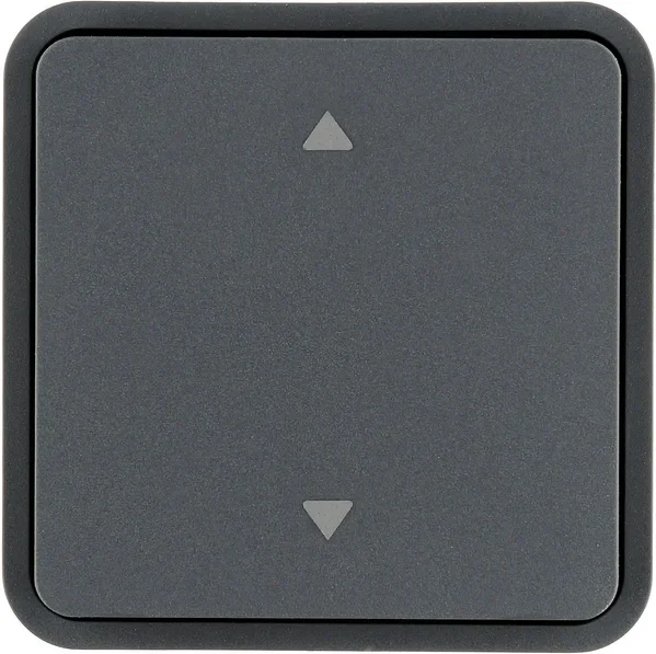 Berker Berker Wippe 1-fach, grau 30653545