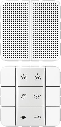 Jung Audio-Innenstation m.Beschriftungsfeld SI AI CD 6 WW