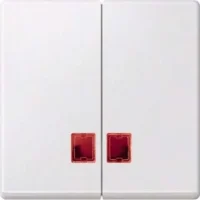 Merten Doppelwippe polar weiß mit Fenster (rot) MEG3456-0419