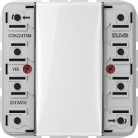 Jung Tastsensor-Modul 2fach AC/DC24V 2-k. 4Sp. CD 5224 TSM