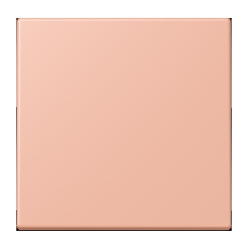 Jung Jung LC1700231 Steuertaste Standard LC32102