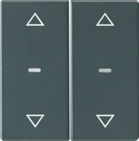 Berker Abdeckung Tastsensor-Modul 2-fach anthrazit 80961326