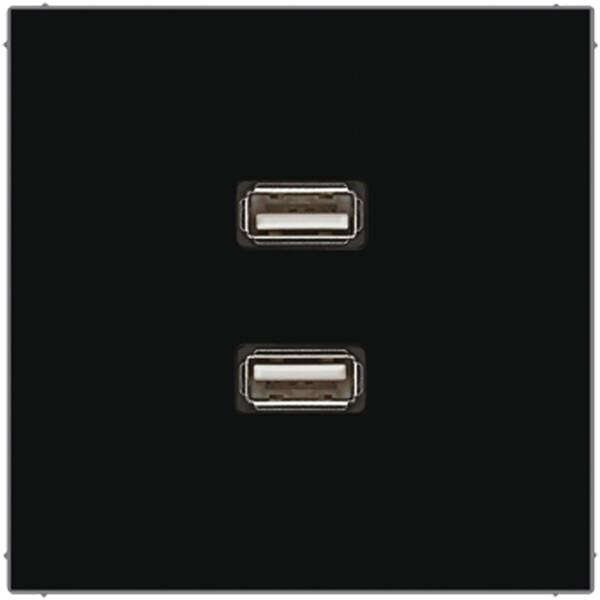 Jung Jung MALS1153SW Einsatz 2xUSB schwarz