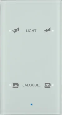 Berker Glas-Sensor 2-fach polarweiß 75142930