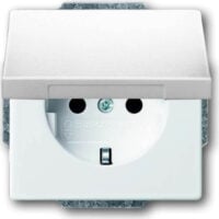 Busch-Jaeger Steckdosen-Einsatz dav/sws 2PA+E16Am Klappdeck. 20 EUK-84